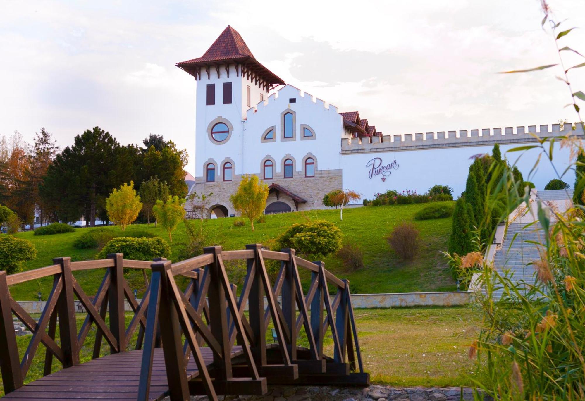 Hotel Chateau Purcari Exterior foto